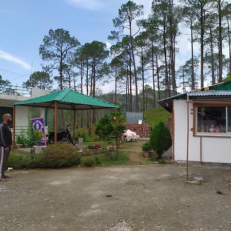 The Green Pine Cottage Лансдаун Экстерьер фото