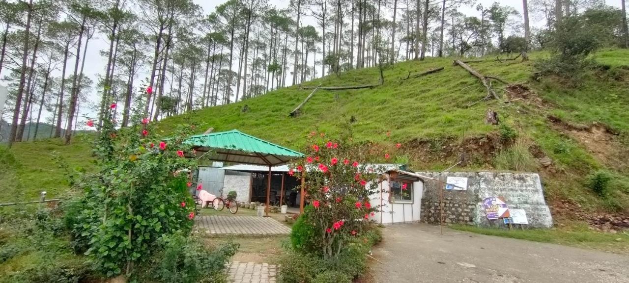 The Green Pine Cottage Лансдаун Экстерьер фото